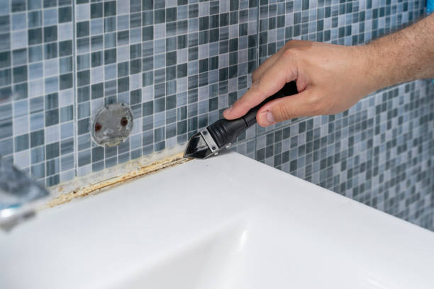 Best Kitchen Mold Remediation in Moultrie, GA