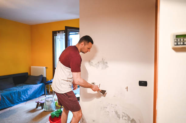 Best Post-Flood Mold Remediation in Moultrie, GA